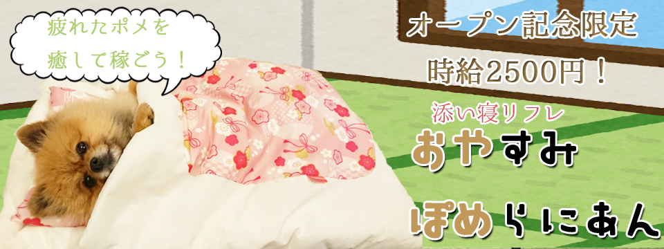 添い寝リフレ おやすみぽめらにあん